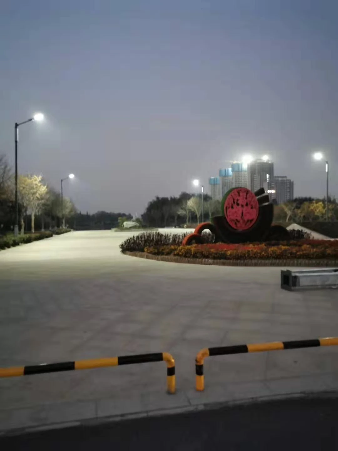 Solar Street Light