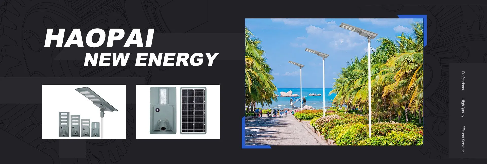 Solar Street Light